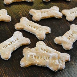 Biscuits avec le prénom du chien Beurre de Cacahuète