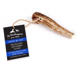 Antler Dog Chew - puppy and toy breeds
