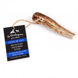 Antler Dog Chew - medium