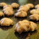 Peanut Butter Mini Treats for dogs