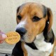 Dog Treats 'J'aime mon papa" Parmesan