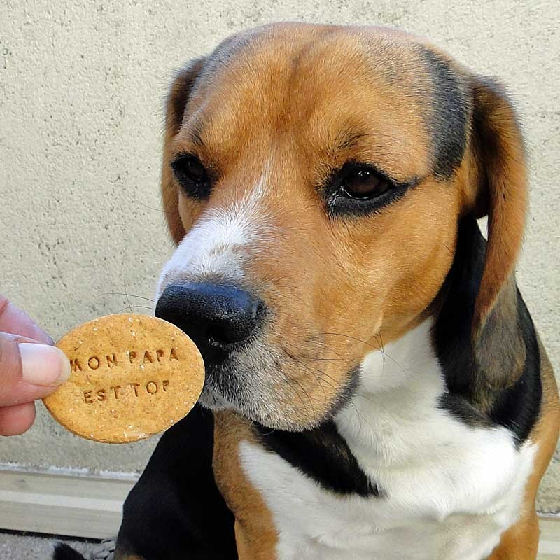 Fête des pères : idées cadeaux pour un papa qui aime les chiens