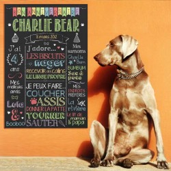 Affiche à personnaliser pour fête pour chiens