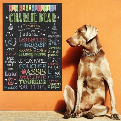 Personnalised Birthday Chalk Board for dogs