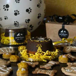 Pack Anniversaire pour chien BIO