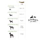 Tailles Bois de cerf pour chiots et chiens