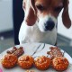 Gâteaux Personnalisés pour chiens BIO