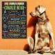 Personnalised Birthday Chalk Board for dogs
