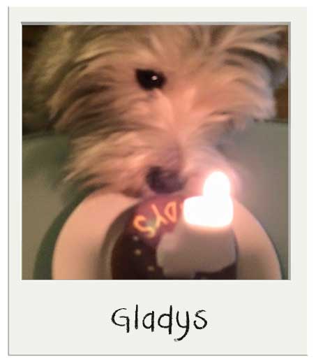 Gladys