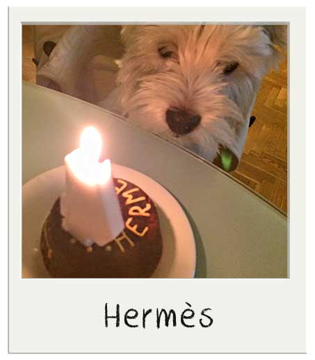 Hérmes