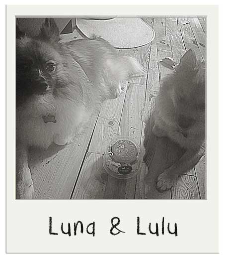 Lula et Lulu