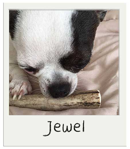 Jewel