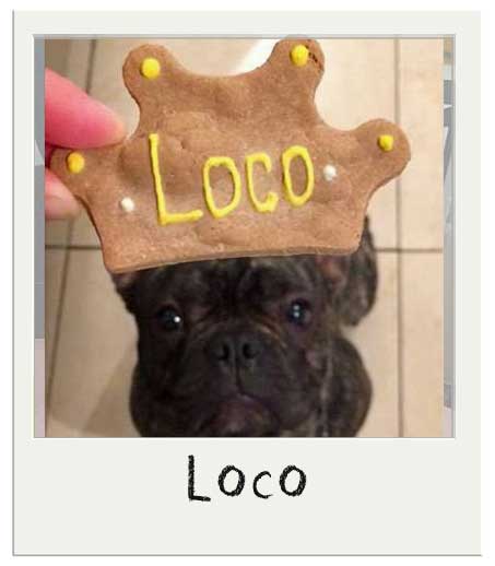 Loco