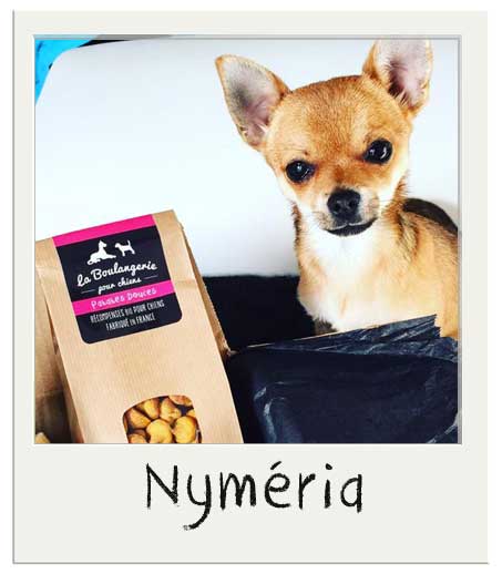 Nyméria avec nos friandises patates douces chiens