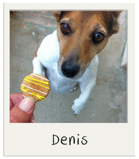 Denis - Biscuits festifs BIO pour chien
