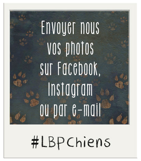 Vous avez fait des photos et vous voulez les partager ! 