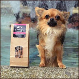 Joyau Chihuahua avec Friandises pour chiens sans grains