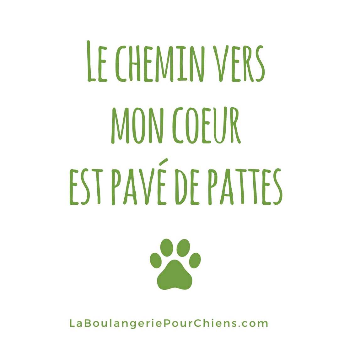 Citations Sur Les Chiens Laboulangeriepourchiens Com
