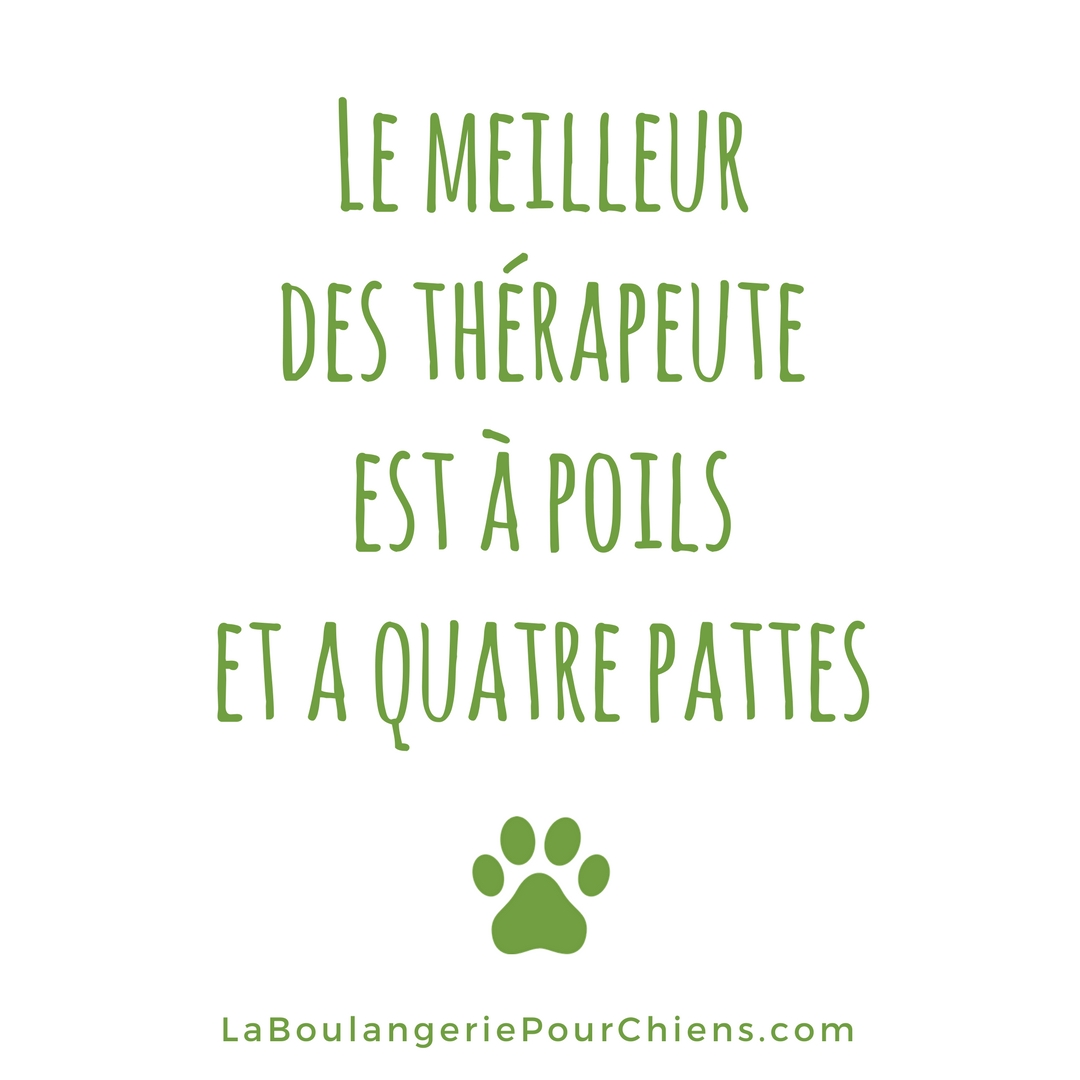 Citation chien la meilleur de thérapeute est à poils et 4 pattes