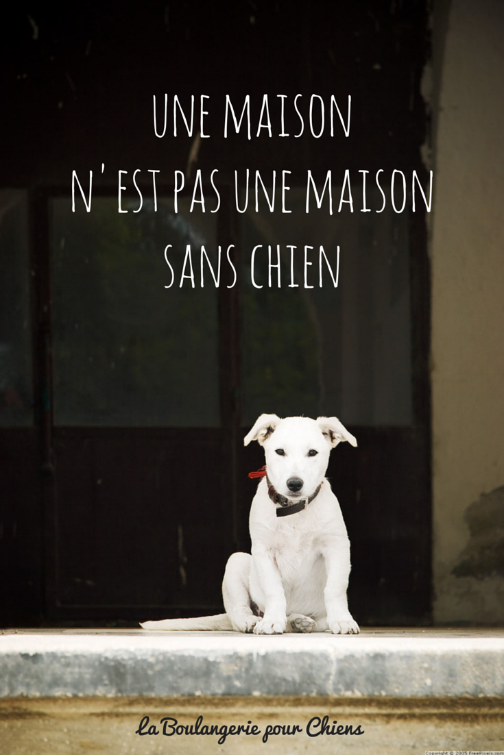 Une maison n'est pas une maison sans chien. Citations chiens, La BOulangerie pour Chiens