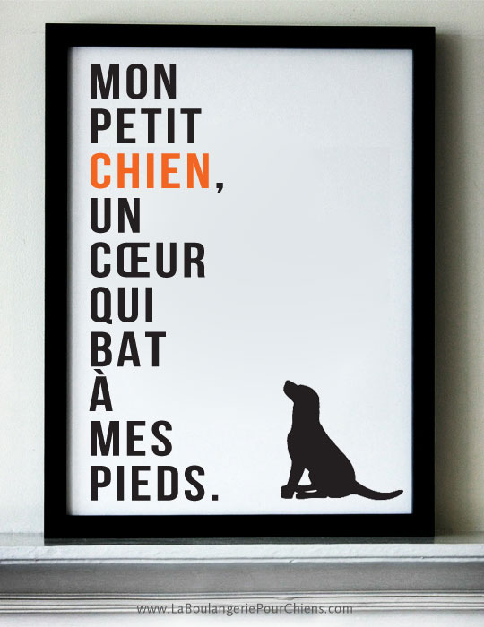 Citation chien - Mon petit chien, un cœur qui bat à mes pieds.