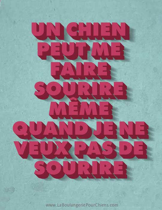 Un chien peut me faire sourire même quand je ne veux pas de sourire.