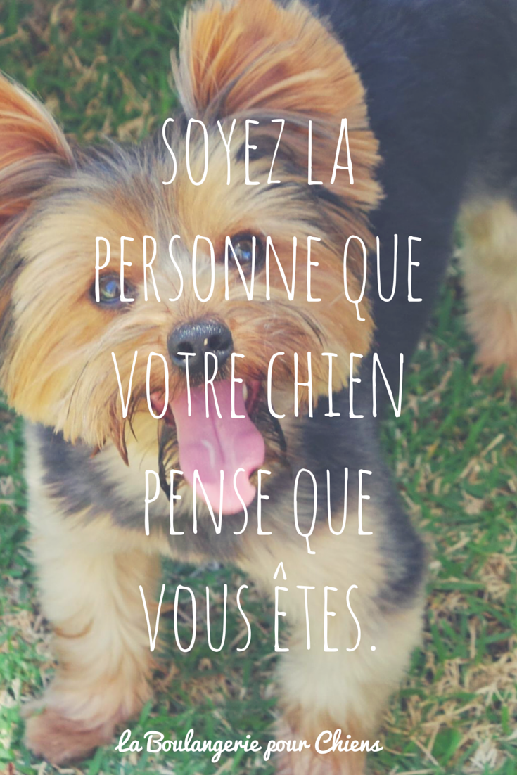 Soyez la personne que votre chien pense que vous êtes.