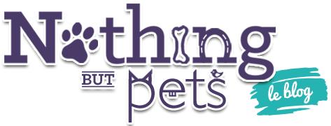 Nothing But Pets | Le blog